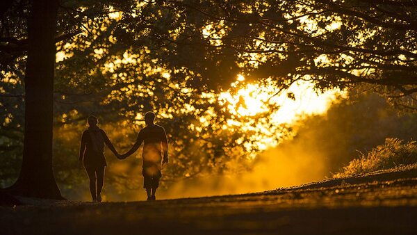 Dvoje odraslih ljudi šeće šumskom stazom po sunčanom danu